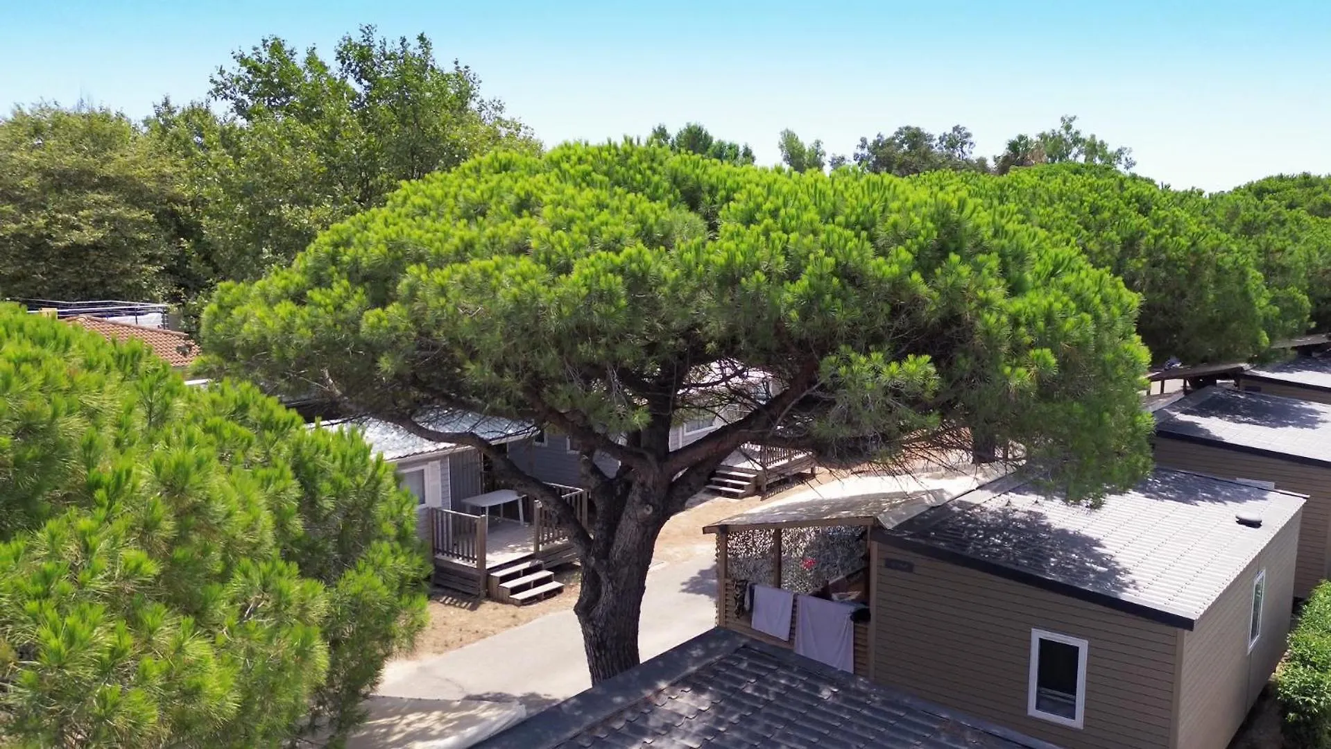 キャンプ場 Camping La Bergerie Plage イエール